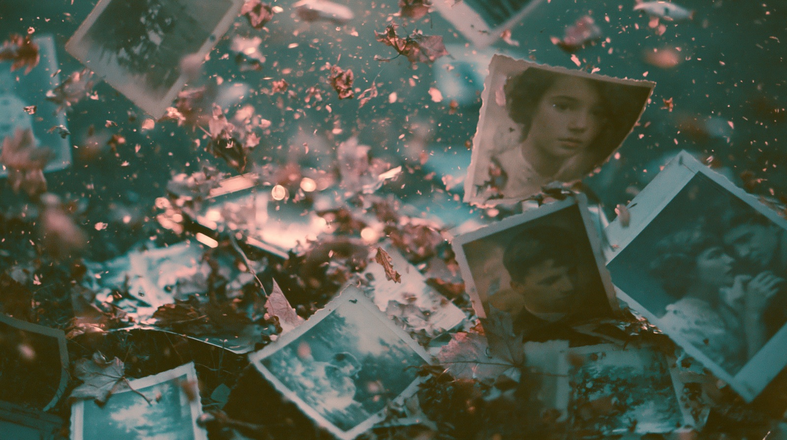 Faded family photographs scattered among petals and summer light