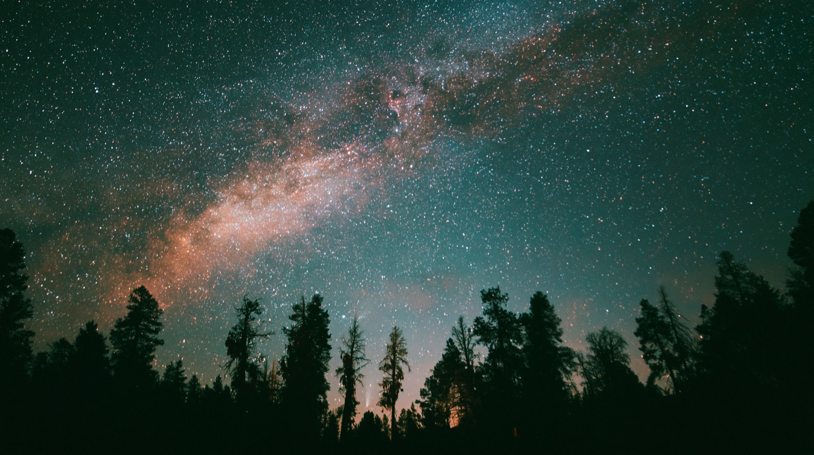 A vast, quiet field of stars over a treeline